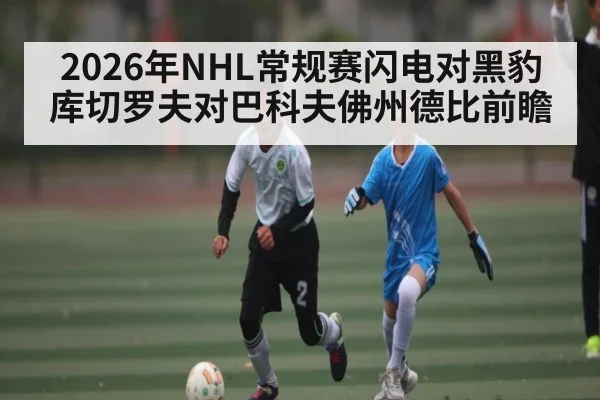2026年NHL常规赛闪电对黑豹 库切罗夫对巴科夫佛州德比前瞻